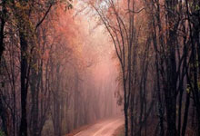 《冠军》走近黄雅琼|圆满并非一蹴而就.