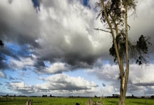 征途国际官网:田径——南京室内世锦赛:女子铅球决赛赛况.