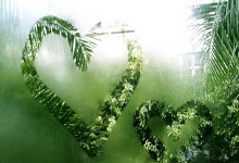 《冠军》走近黄雅琼｜圆满并非一蹴而就.