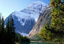 体操世界杯:张可欣高低杠夺冠 “丘妈”跳马摘铜新华网.