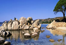 蒿俊闵今天迎来38岁生日,曾留洋沙尔克04并在欧冠有过出场.